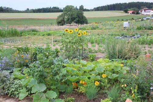 Foto - Grundst&uuml;ck zur Miete in Mühldorf am Inn