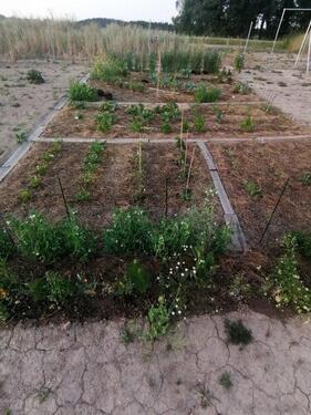 Foto - Grundst&uuml;ck in Mühldorf am Inn zur Miete