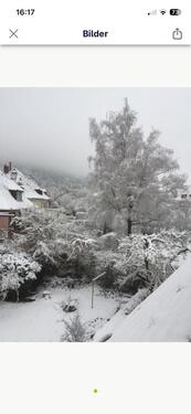 Foto - Zimmer 1,5 möbliert, mit Balkon- in Bestlage