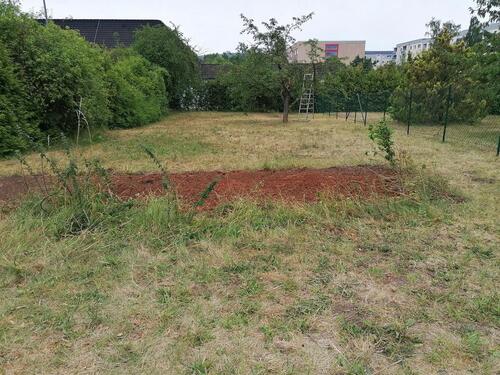 Foto - Garten Grundstück Freizeit- Erholungsgrundstück