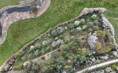 Foto - Freizeitgrundstück Streuobstwiese Wald