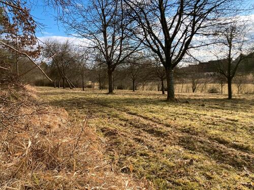 Foto - Grundst&uuml;ck zur Miete in Ellingen