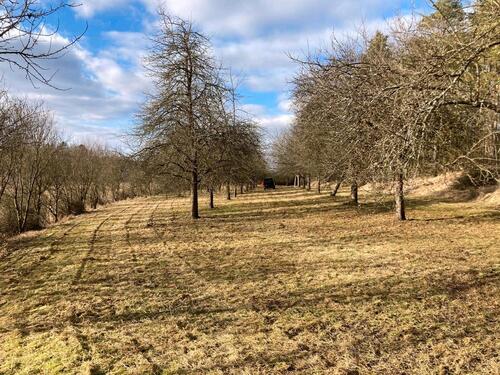 Foto - Grundst&uuml;ck in Ellingen