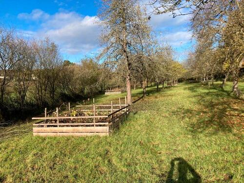 Foto - Grundst&uuml;ck in Ellingen zur Miete