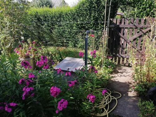 Foto - Garten mit massiver Laube in Ostseenähe