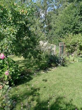 Foto - Grundst&uuml;ck zur Miete in Sagard