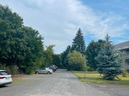 Foto - 2 Zimmer Etagenwohnung zur Miete in Dessau-Roßlau