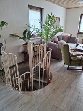 Foto - 1 Zimmer Erdgeschoßwohnung zur Miete in Schwarzenbruck