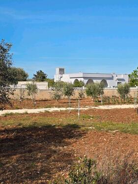 Foto - andere in Klingenberg am Main zur Miete