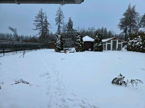 Foto - Reihenhaus in Marsberg zum Kaufen