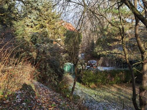 Foto - Einfamilienhaus in Glauchau zum Kaufen