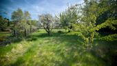 Foto - 7 Zimmer Einfamilienhaus in Wedemark