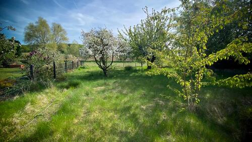 Foto - 7 Zimmer Einfamilienhaus in Wedemark