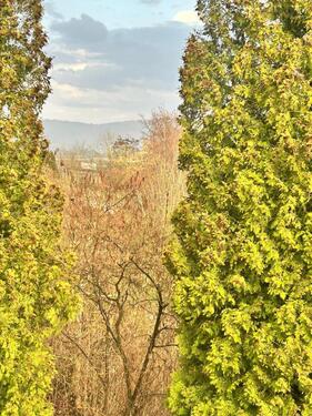 Foto - Exklusive Ferienwohnung am Sorpesee