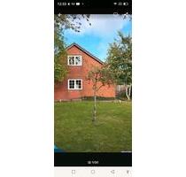 EFH Garten Carport - 1.000,00&nbsp;EUR Kaltmiete, ca.&nbsp; 120,00&nbsp;m&sup2; in Wester-Ohrstedt (PLZ: 25885)