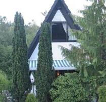 Wunderschönes, voll eingerichtetes Nurdachhaus im Grünen! - Bad Wünnenberg