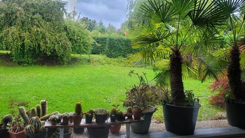 Foto - 4 Zimmer Bungalow zum Kaufen in Karlsruhe