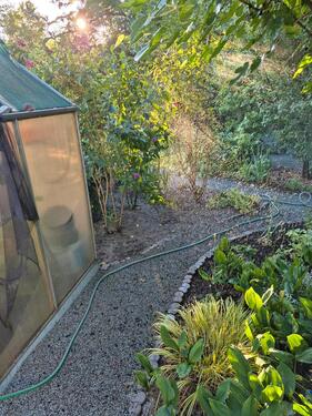 Foto - Grundst&uuml;ck zur Miete in Spremberg