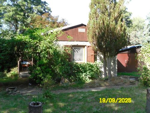 Foto - Einfamilienhaus in Belgern-Schildau zum Kaufen