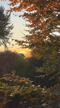 Foto - möblierte 2,5-Zimmer-Wohnung - 1.220,00&nbsp;EUR Kaltmiete, ca.&nbsp; 98,00&nbsp;m&sup2;