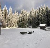 Urlaub Auszeit in Waldkirchen - 75,00&nbsp;EUR Kaltmiete, in Waldkirchen (PLZ: 94065)