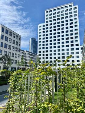 Foto - Voll möblierte 1 Zi Wohnung mit EBK in Mögeldorf (Nürnberg Ost)