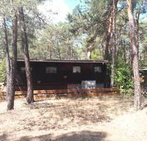 Ferienbungalow in unmittelbarer Wassernähe am Spremberger Stausee - Neuhausen/Spree