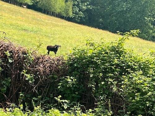 Foto - Fernab vom Trubel ! - 605,00&nbsp;EUR Kaltmiete, ca.&nbsp; 84,00&nbsp;m&sup2;