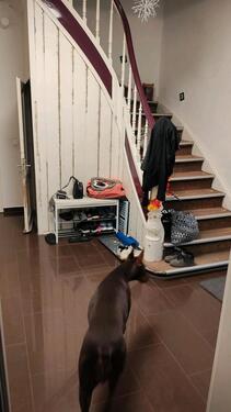 Foto - 8 Zimmer Einfamilienhaus zum Kaufen in Remscheid