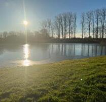 Haus,großes Grundstück,Doppelhaushälfte,Ostsee,für Naturliebhaber - Dassow