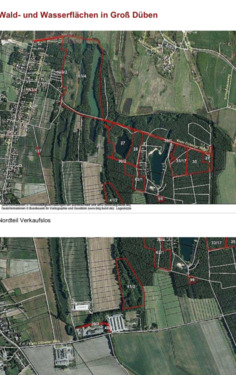 Foto - Wald- und Wasserflächen im Naherholungsgebiet Groß Düben (Sachsen) Gesamtgröße: 53,3 ha
