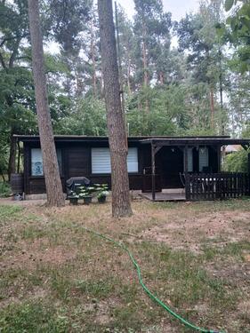 Foto - Waldgrundstück mit Wochenendhaus – sofort verfügbar