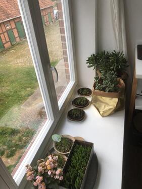 Foto - Etagenwohnung in Nahrendorf zur Miete