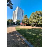 3 Zimmer Wohnung neu Saniert ,in 63477 Maintal