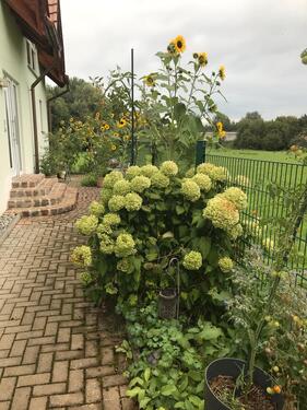 Foto - Doppelhaushälfte mit Garten - 440.000,00&nbsp;EUR Kaufpreis, ca.&nbsp; 103,00&nbsp;m&sup2;