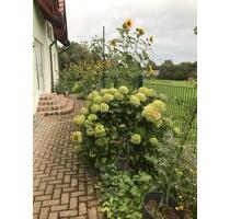 Doppelhaushälfte mit Garten - 440.000,00&nbsp;EUR Kaufpreis, ca.&nbsp; 103,00&nbsp;m&sup2; in Göppingen (PLZ: 73037) Bruckwasen