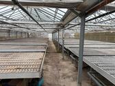 Foto - Gewächshaus Treibhaus, Lagerflächemit Pflanztischen zu vermieten