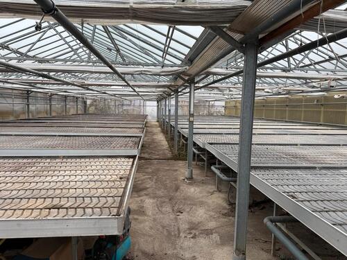 Foto - Gewächshaus Treibhaus, Lagerflächemit Pflanztischen zu vermieten