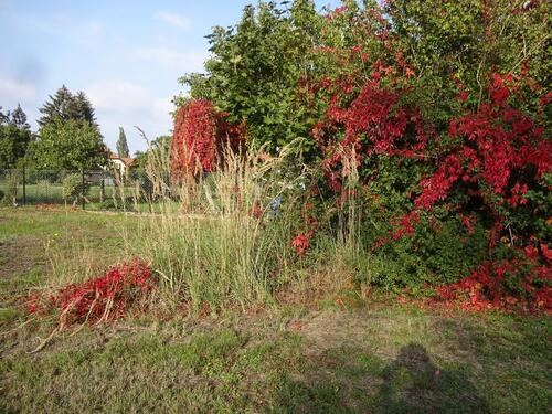 Foto - Stellplatz für Camper - 40,00&nbsp;EUR Miete,