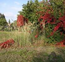 Stellplatz für Camper - 40,00&nbsp;EUR Miete, in Burgwedel (PLZ: 30938)