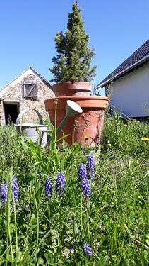 Foto - Haus am Balaton - 110.000,00 EUR Kaufpreis,