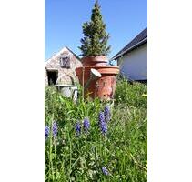 Haus am Balaton - 110.000,00 EUR Kaufpreis, in Potsdam (PLZ: 14480) Drewitz