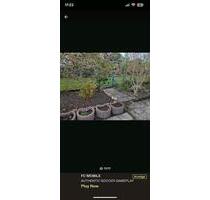 Kleingarten - 500,00&nbsp;EUR Kaltmiete, ca.&nbsp; 0,00&nbsp;m&sup2; in Schwerin (PLZ: 19059) Neumühle