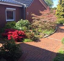 Seniorenfreundliche 4-Zimmer-Erdgeschosswohnung mit Terrasse - Krempe