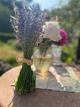 Foto - Grundst&uuml;ck in Schwerin zur Miete