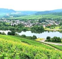 Ferienwohnung Wandern Radwege Urlaub Wein Kultur - Schweich