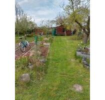 toller Kleingarten in der Rostocker Südstadt - Papendorf