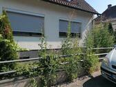 Foto - Freistehendes EFH mit Dach-Einliegerwohnung
