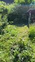 Foto - 7 Zimmer Einfamilienhaus zum Kaufen in Detmold
