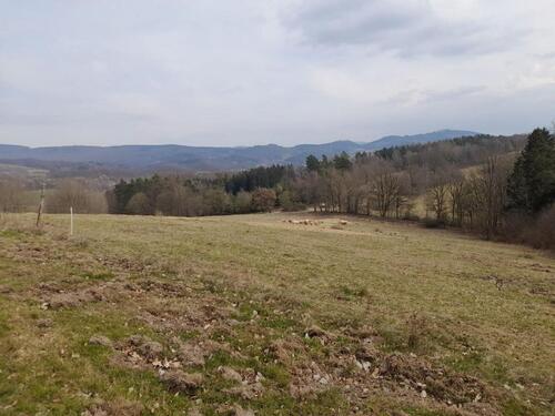 Foto - 